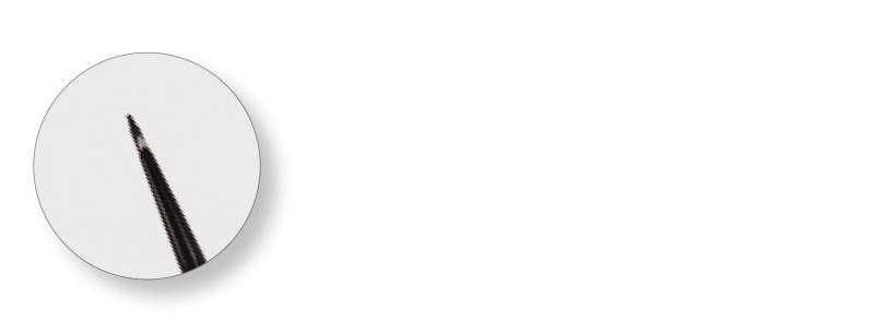 PALINE GEODETICHE